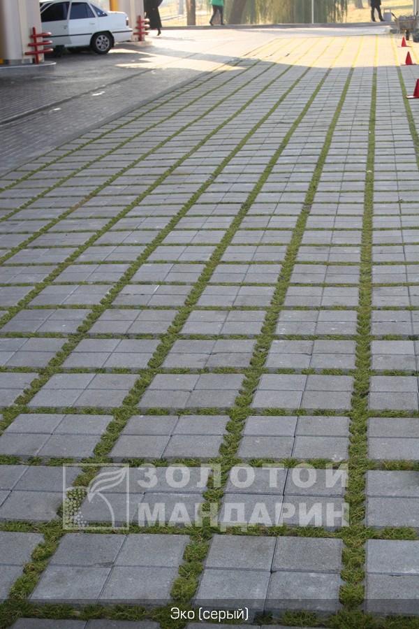 reshetka-ehko-zolotoj-mandarin5.jpg